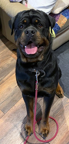 Milo